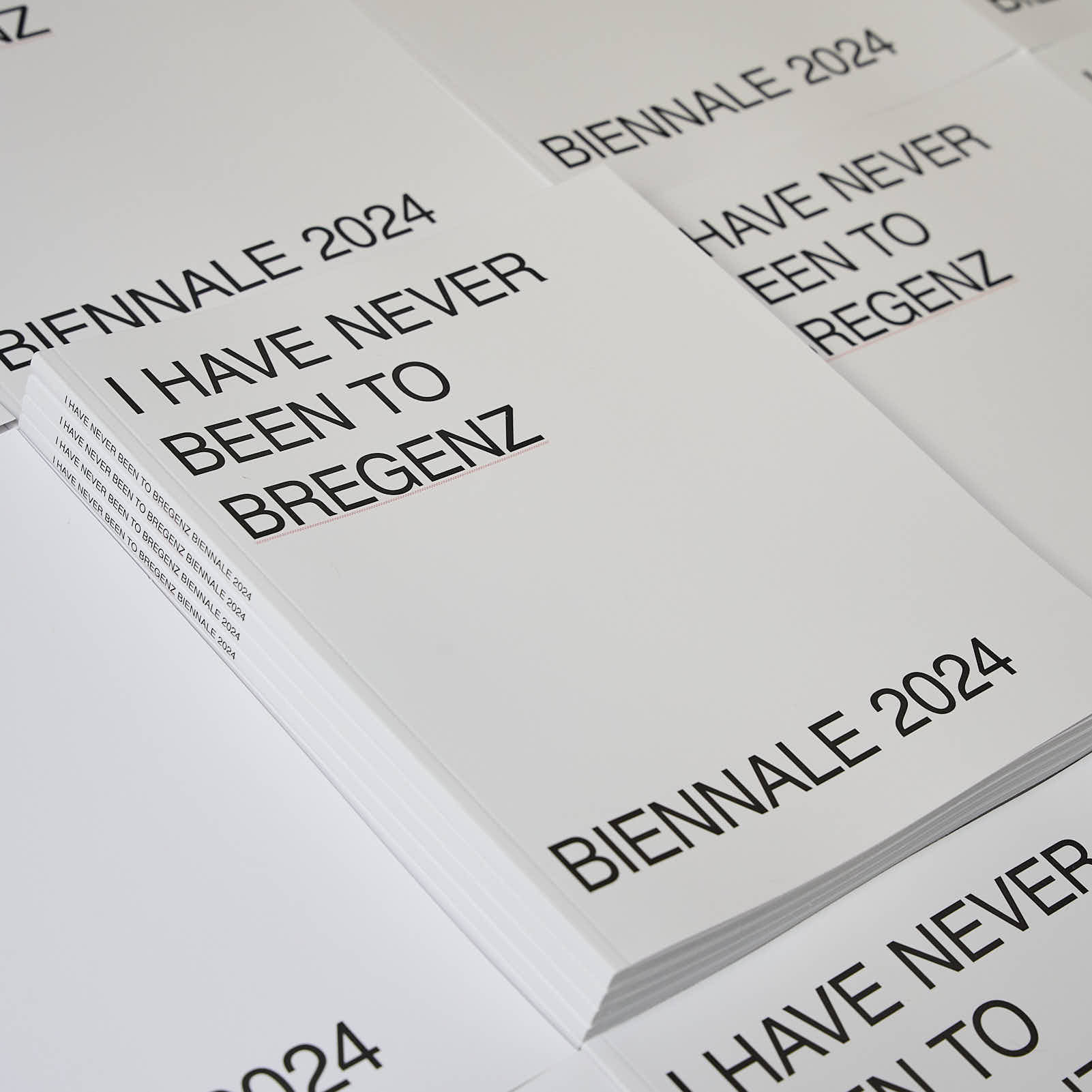 Bregenz Biennale 2024 Catalogue